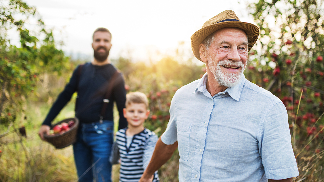 Two men and a boy picking apples