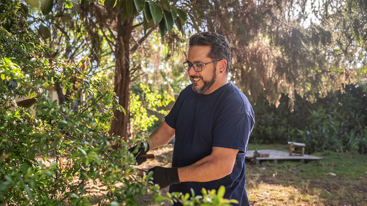 A man is trimming a bush